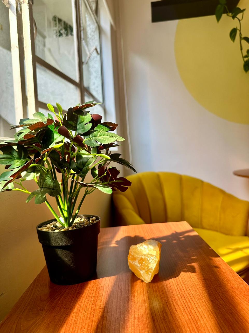 Detalle del espacio de atención